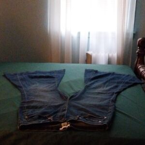 Torrid Festi Super Flare Jeans